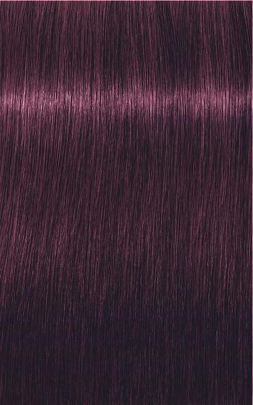 Schwarzkopf Igora Royal Hair Color 6-99 Colour