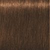 Schwarzkopf Igora Royal Hair Color 8-60-- ABSOLUTE